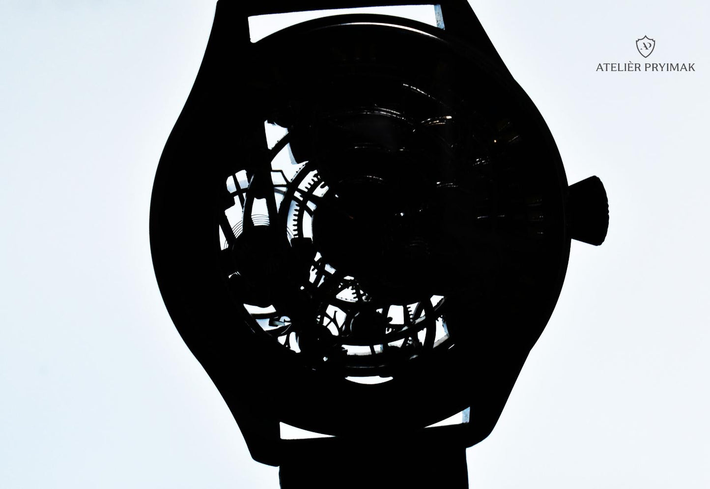 *PRE-ORDER*Exclusive OMEGA skeleton watch